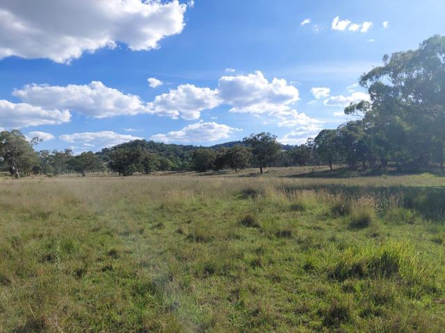 Property for sale in Emmaville, New South Wales