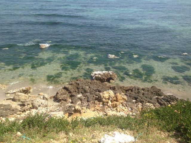 Villa vente à Bizerte Nord