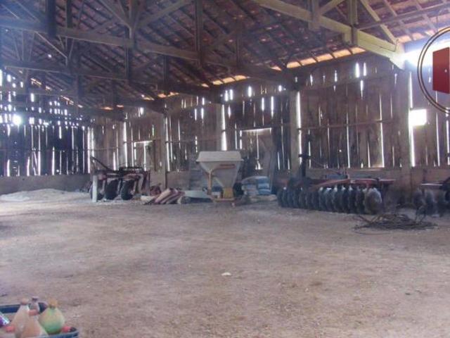 Sítio e chácara venda em Vila Quintino, Piedade