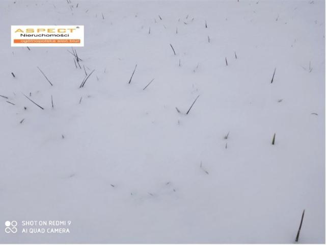 Grunt na sprzedaż w Rzeszów, Podkarpackie