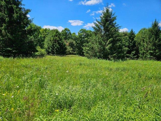 Land for sale in Franklinville, New York