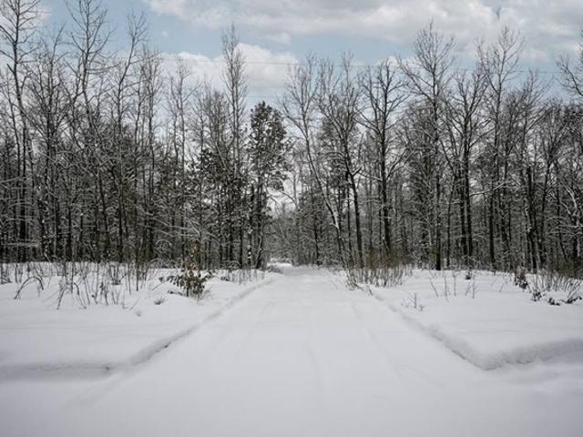 Land for sale in Trego, Wisconsin