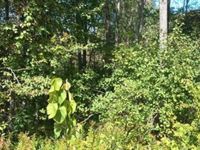 Land for sale in Wakefield, Michigan