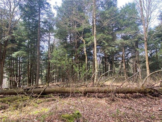 Land for sale in Hartwick, New York