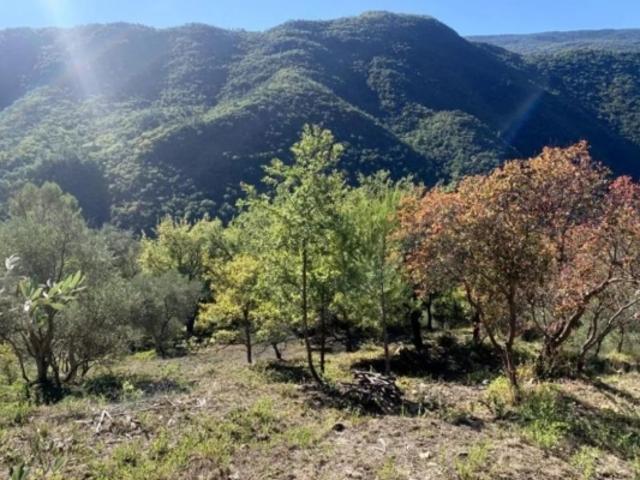 Appartement vente à Nice, Pierrefeu