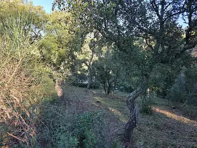 Terrain vente à Arrondissement de Toulon, Pierrefeu-du-var