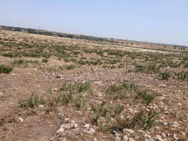 Terrain vente à Had Soualem, Gharb-Chrarda-Beni Hssen
