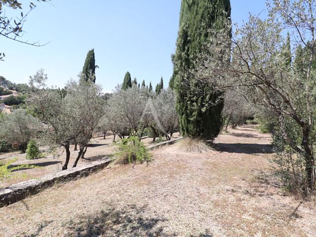 Maison vente à Forcalquier, Pierrevert