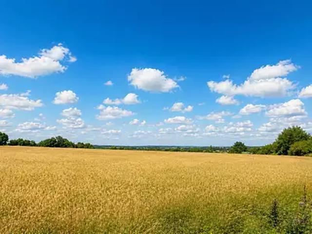 Terrain vente à Châteaubriant-Ancenis, Pierric