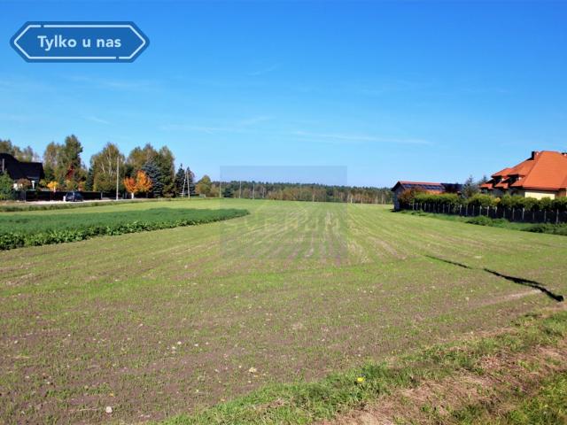 Grunt na sprzedaż w Pierzchno, Śląskie