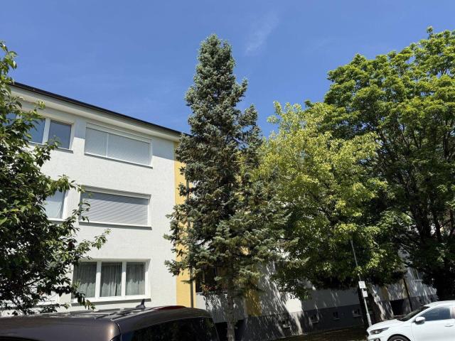Apartment mieten in Markt Piesting