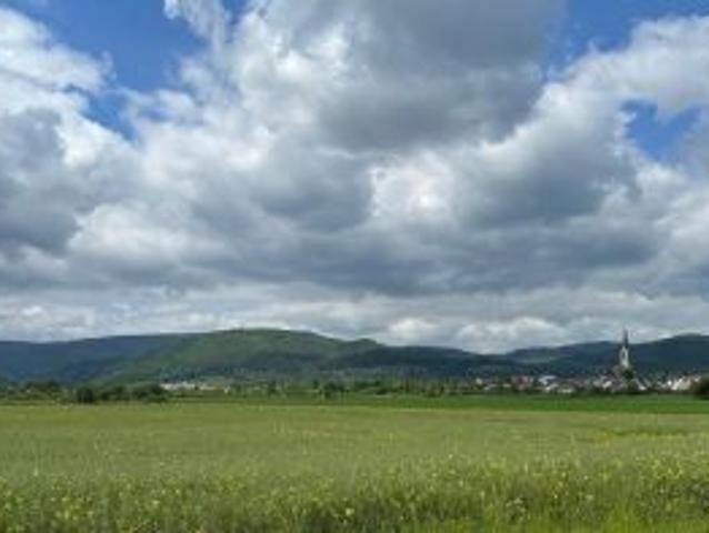 Dom na sprzedaż w Pieszyce, Dolnośląskie