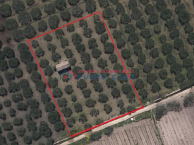 Terreno in vendita a Trapani, Sicilia