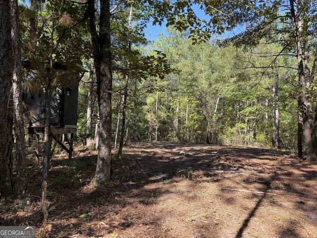 Land for sale in Bartow, Georgia