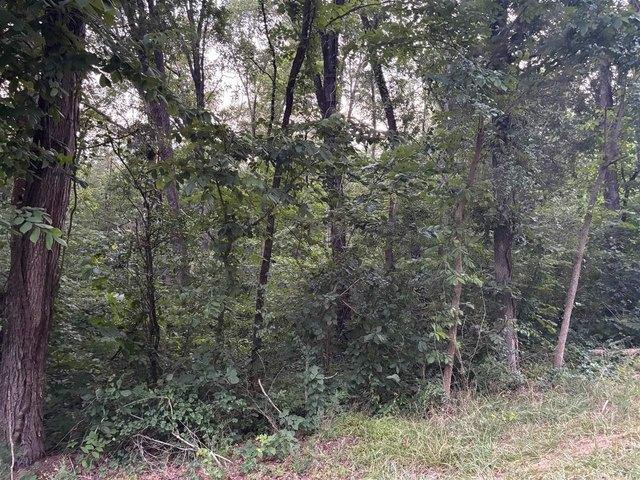 Land for sale in Oakland, Kentucky