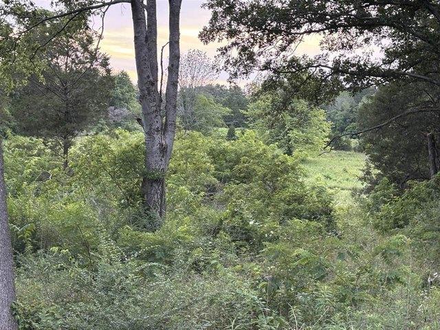 Land for sale in Oakland, Kentucky