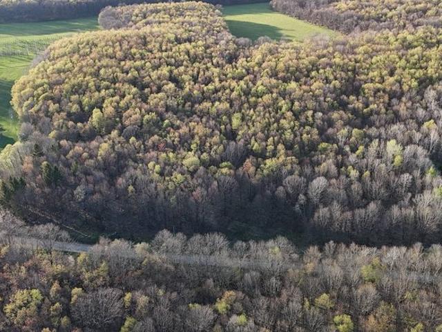Land for sale in Tionesta, Pennsylvania