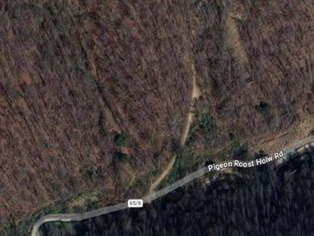 Land for sale in Mingo, West Virginia