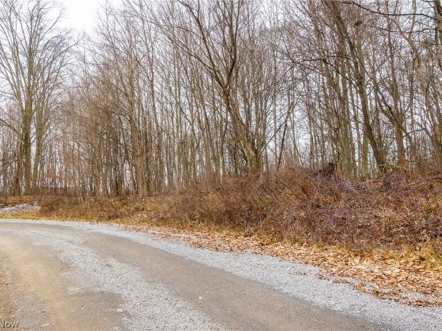 Land for sale in Navarre, Ohio