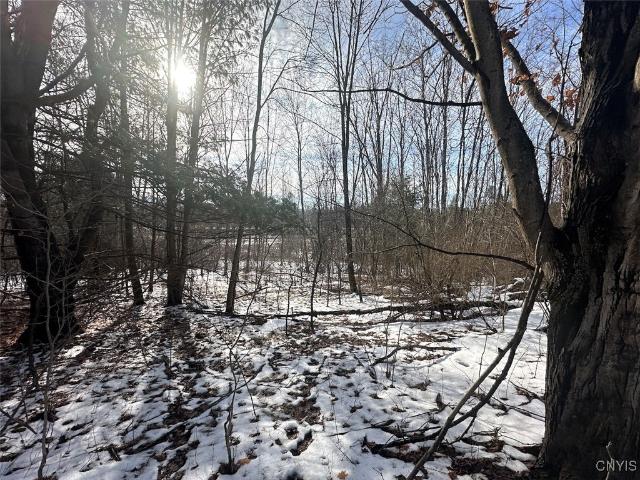 Land for sale in Friendship, New York