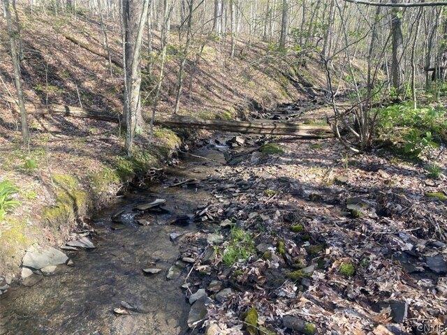 Land for sale in Friendship, New York
