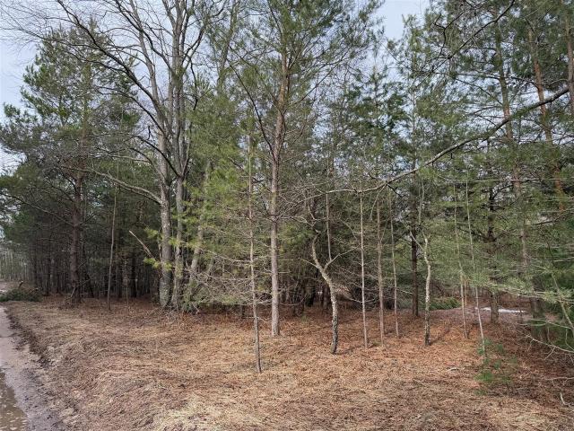 Land for sale in Michigan