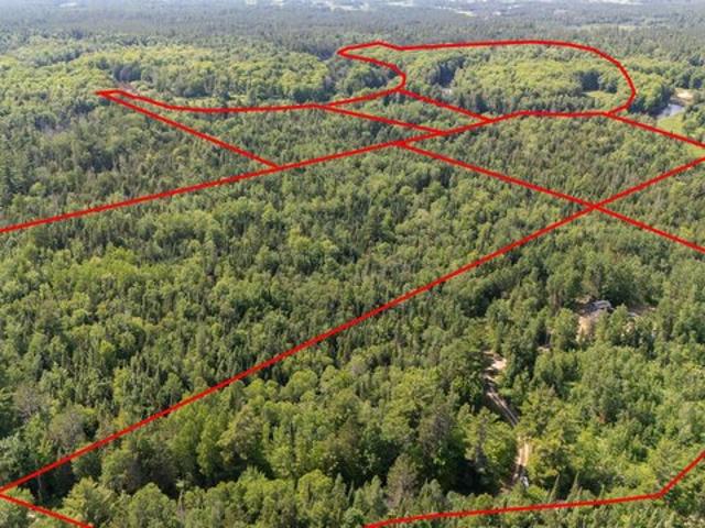 Land for sale in Gulliver, Michigan