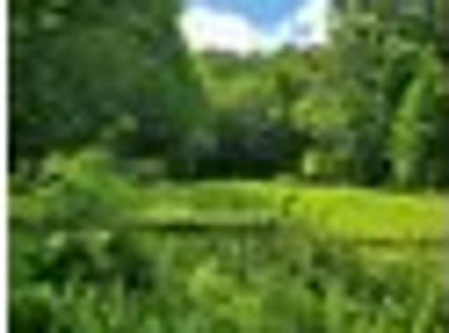 Land for sale in Eastford, Connecticut