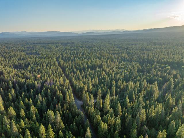 Land for sale in Mccloud, California