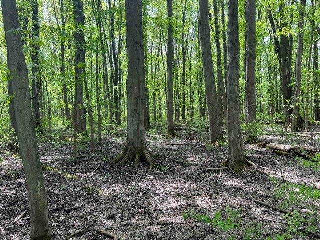 Land for sale in Lyons, New York