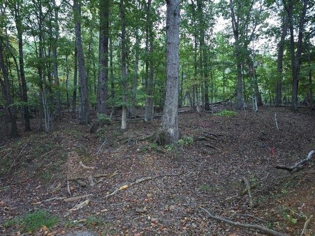 Land for sale in Moneta, Bedford County