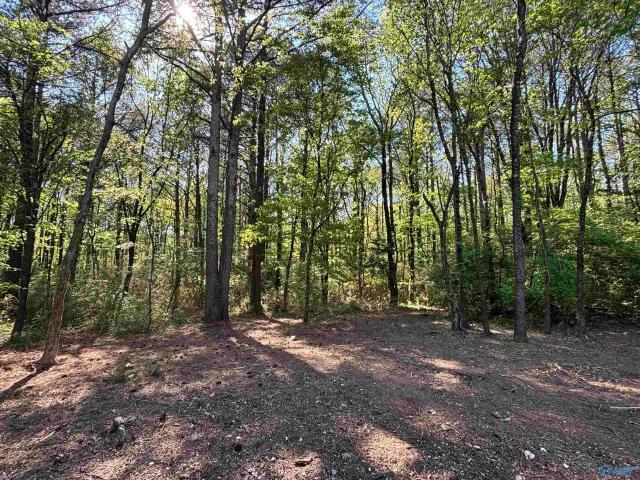 Land for sale in Huntsville, Alabama