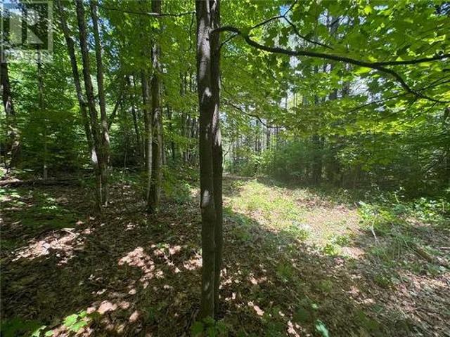 Land for sale in Parry Sound, Ontario
