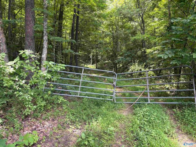 Land for sale in Stevenson, Alabama