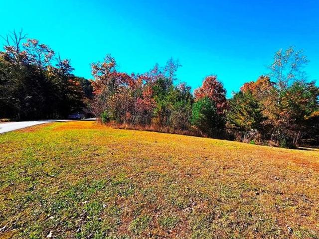 Land for sale in Murphy, North Carolina