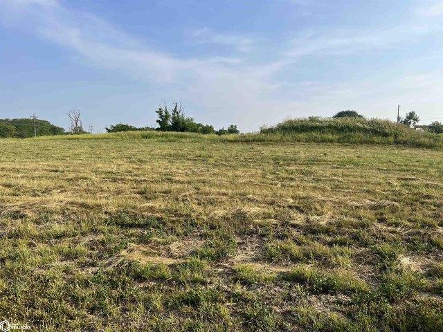 Land for sale in Mount Pleasant, Iowa