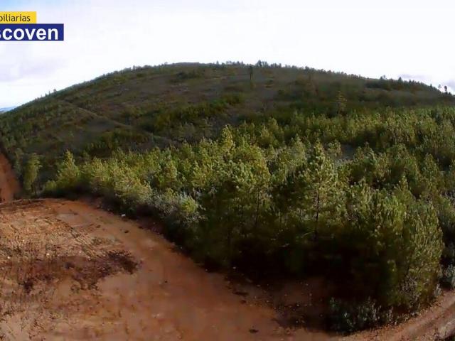 Terreno en venta en Valencia De Alcántara