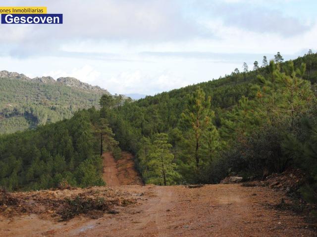 Terreno en venta en Valencia De Alcántara, Extremadura