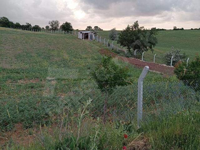 Karaman Merkez, Karaman içerisinde satılık mülk