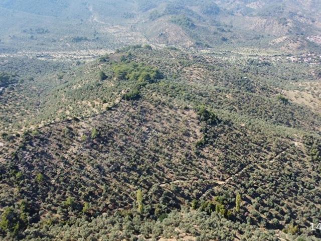 Milas, Muğla içerisinde satılık mülk