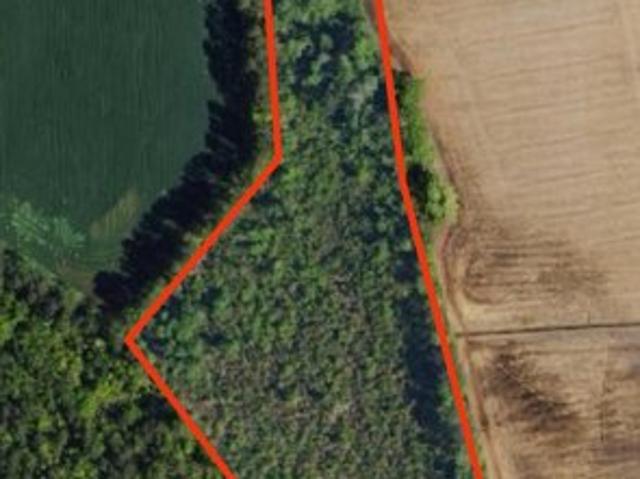 Land for sale in Nichols, South Carolina