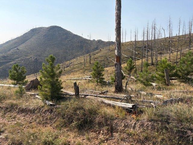 Land for sale in Colorado