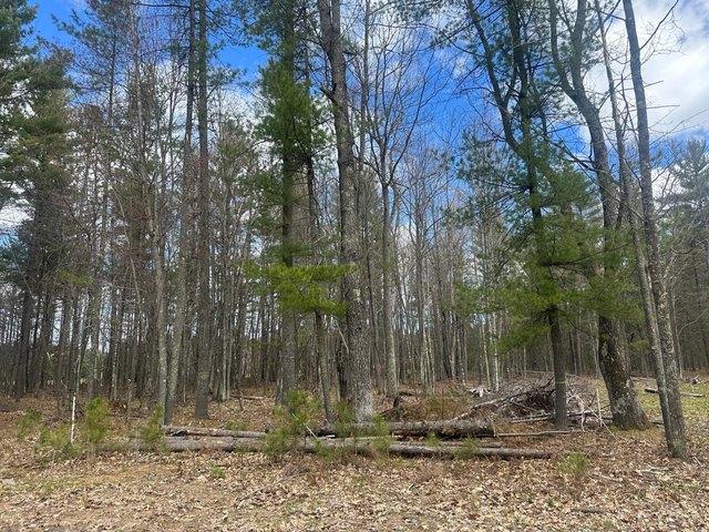 Land for sale in Vilas, Wisconsin