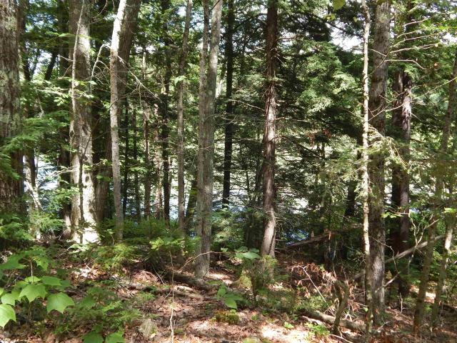 Land for sale in New Hampshire
