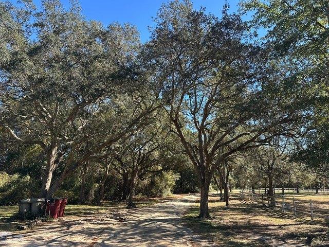 Land for sale in Walton, Florida