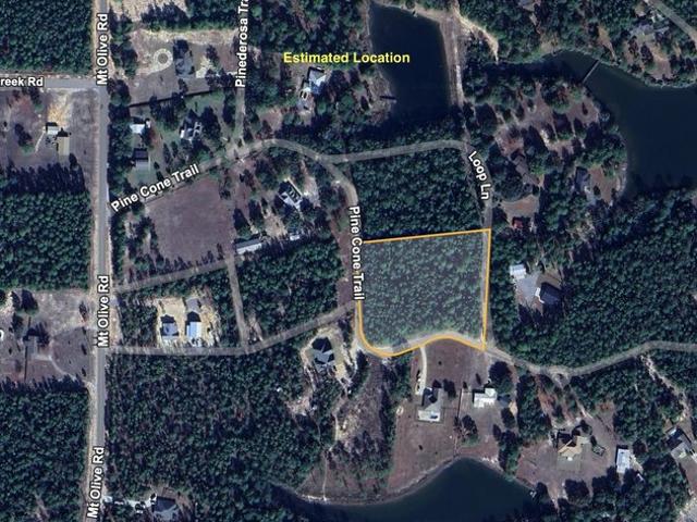 Land for sale in Walton, Florida