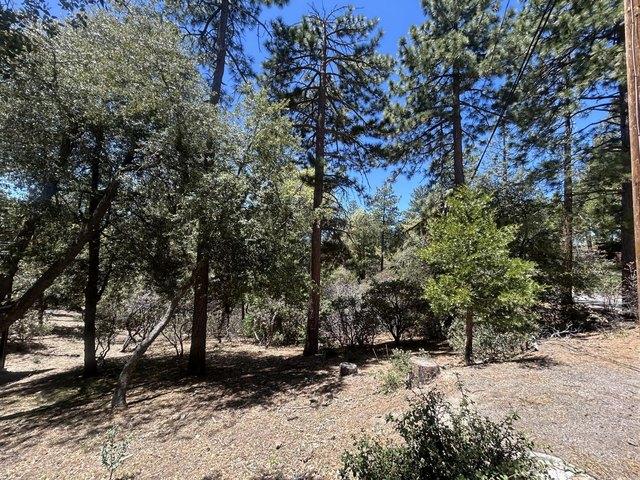 Land for sale in Idyllwild, California