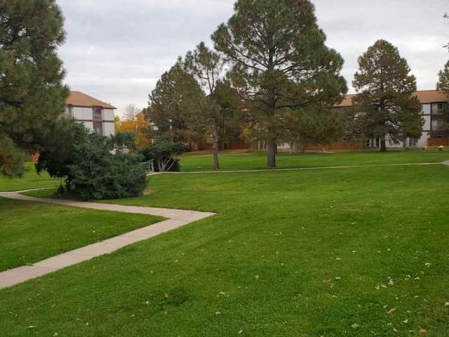 Apartment for rent in Denver, Colorado