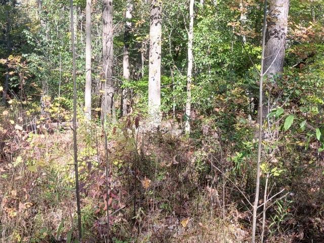Land for sale in Burton, Michigan