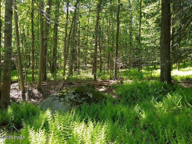 Land for sale in Hawley, Pennsylvania